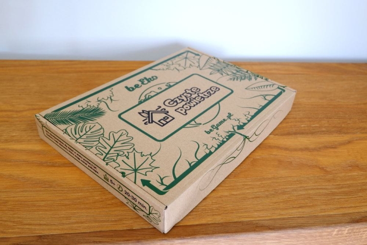 Czyste Powietrze gra edukacyjna o ekologii i naturze