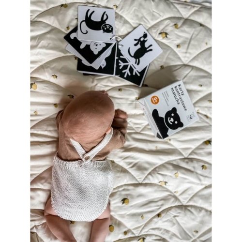 Karty kontrastowe Widzę kształty dla niemowląt 0+