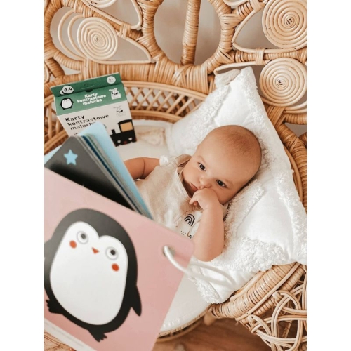 Karty kontrastowe Widzę szczegóły dla niemowląt 6 mies.+