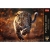 10818 puzzle trefl 1000 leopard (1).jpg
