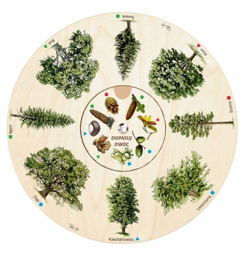 Puls Art Dopasuj na kole OWOCE DRZEW 5+