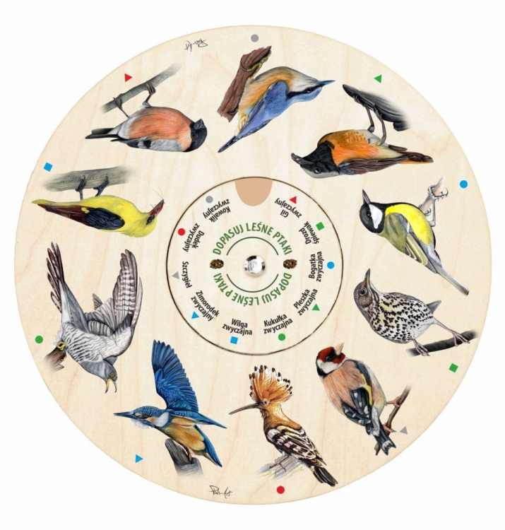 Puls Art Dopasuj na kole PTAKI 6+