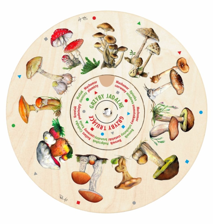 Puls Art Dopasuj na kole GRZYBY 6+