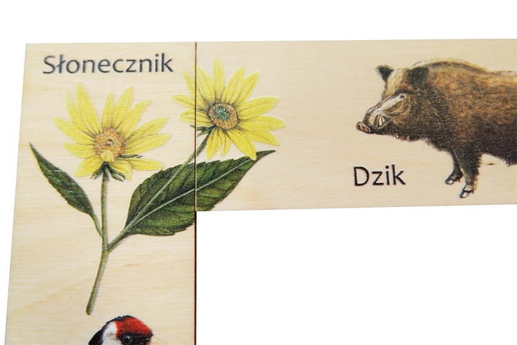 Puls-Art-Zestaw-II-Domino-drewniane-3+-Eco-Zabawki (3).JPG
