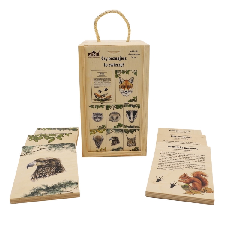 Puls Art Zestaw edukacyjny Jakie to Zwierzę? 5+