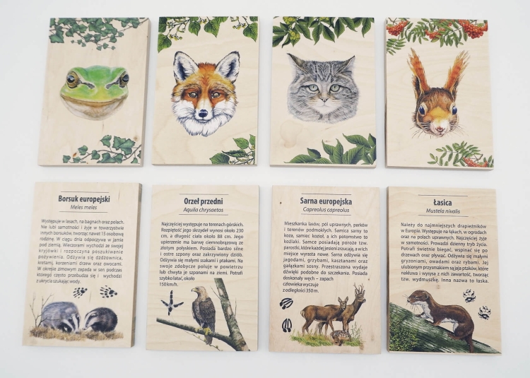 gra-czy-poznajesz-to-zwierze-eco-zabawki-puls-art (2).jpg