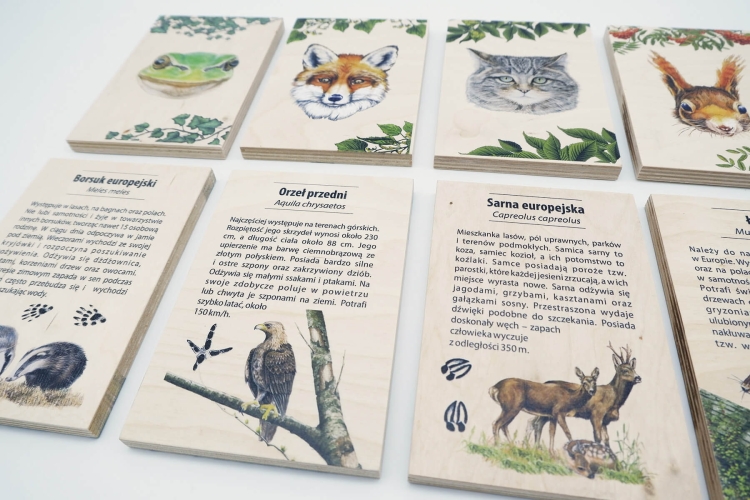 gra-czy-poznajesz-to-zwierze-eco-zabawki-puls-art (3).jpg