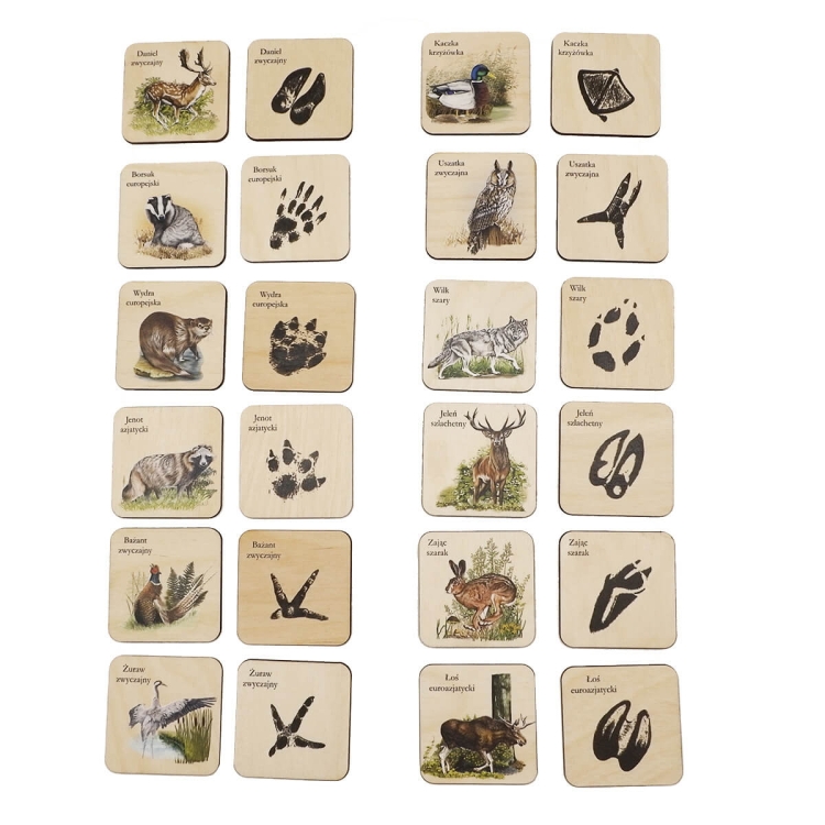 Puls Art Memory Tropy 6+