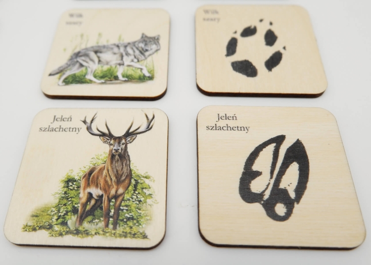 rodziny-zwierzat-gra-memory-eco-zabawki-puls-art (2).jpg