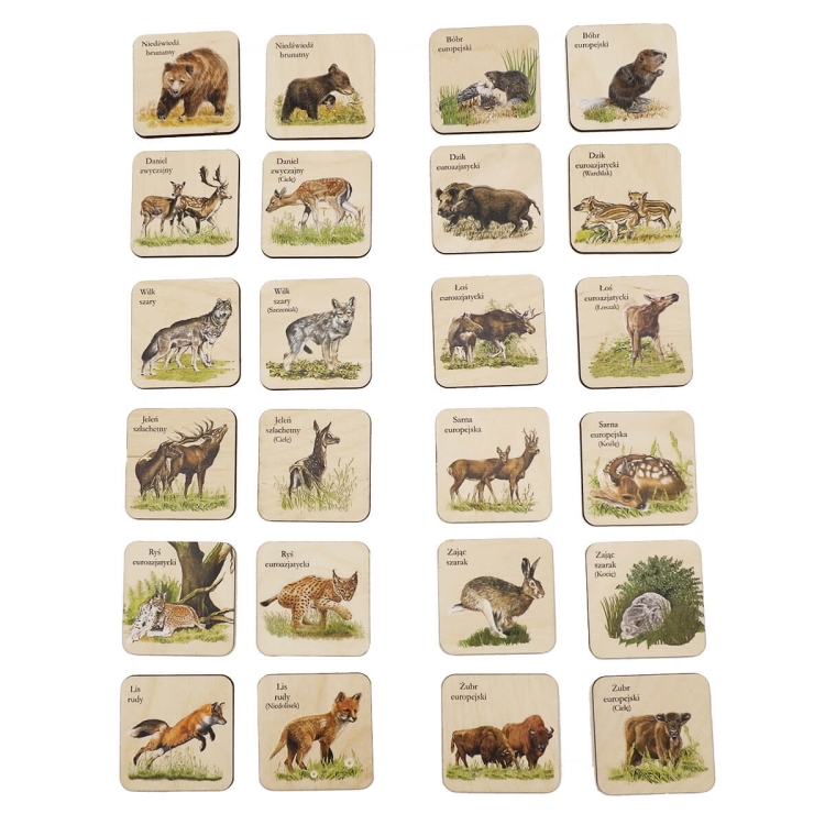 Puls Art Memory Rodziny zwierząt 6+