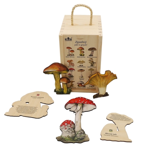 Puls Art Zestaw edukacyjny ZGADNIJ JAKI TO GRZYB
