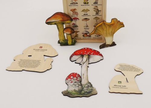 gra-zgadnij-jaki-to-grzyb-eco-zabawki-puls-art (2).jpg