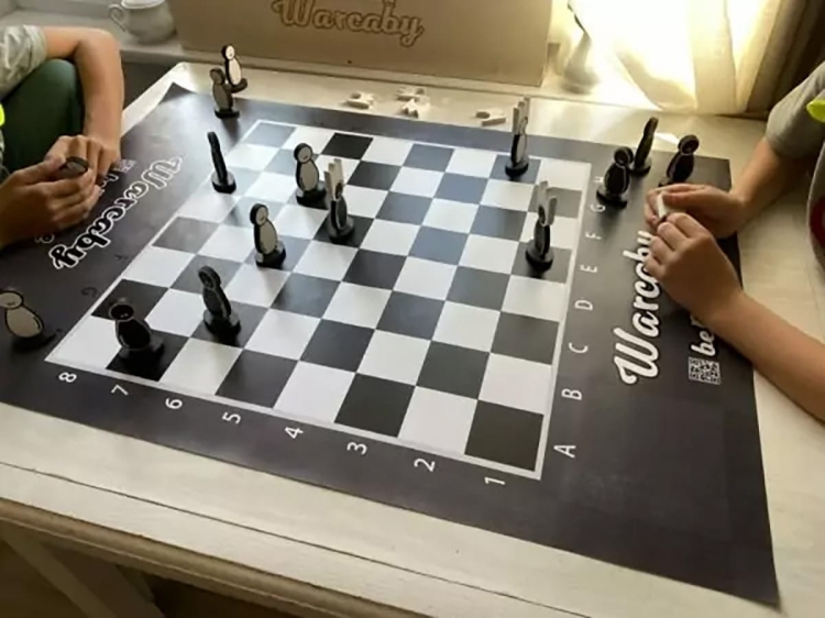 warcaby-gra-stolikowa-begame-eco-zabawki (1).jpg