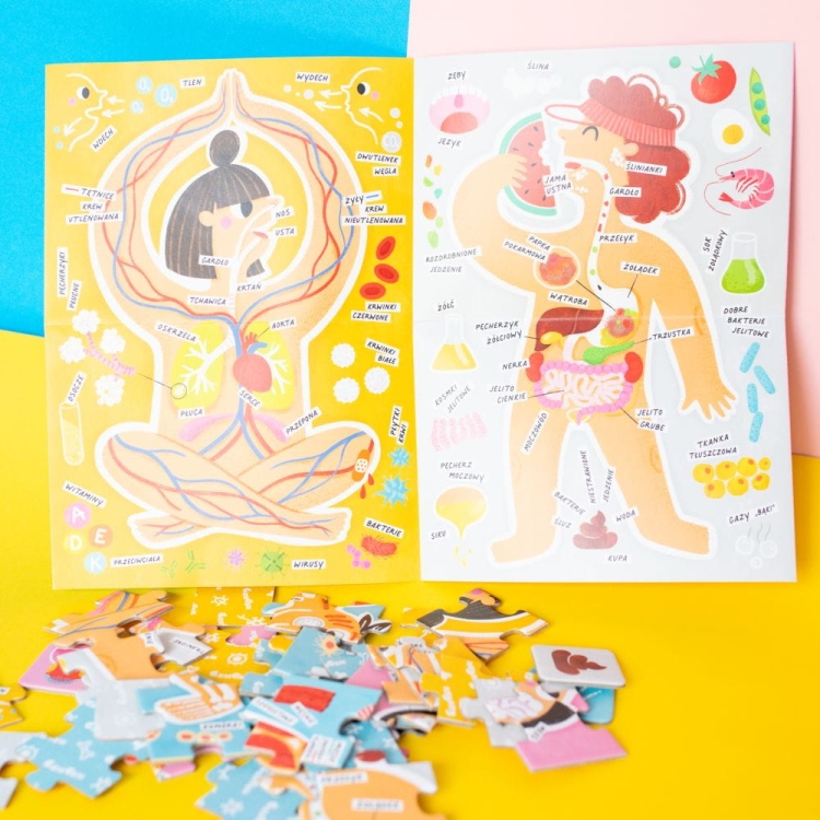 czuczu-tak-działa-moje-ciało-puzzle (12).jpg
