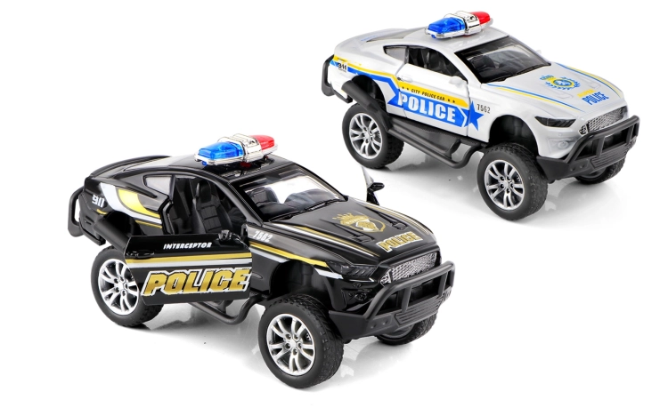 metalowy-samochod-radiowoz-policyjny-polesie (4).webp