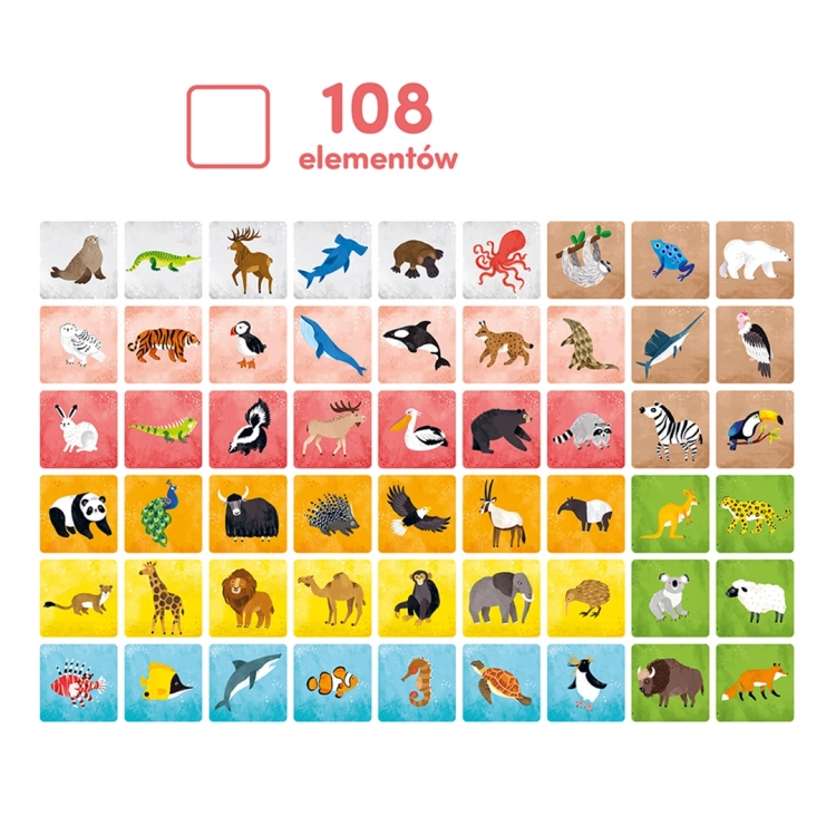 Karty z ilustracjami zwierząt z gry "Memory Zwierzęta świata"