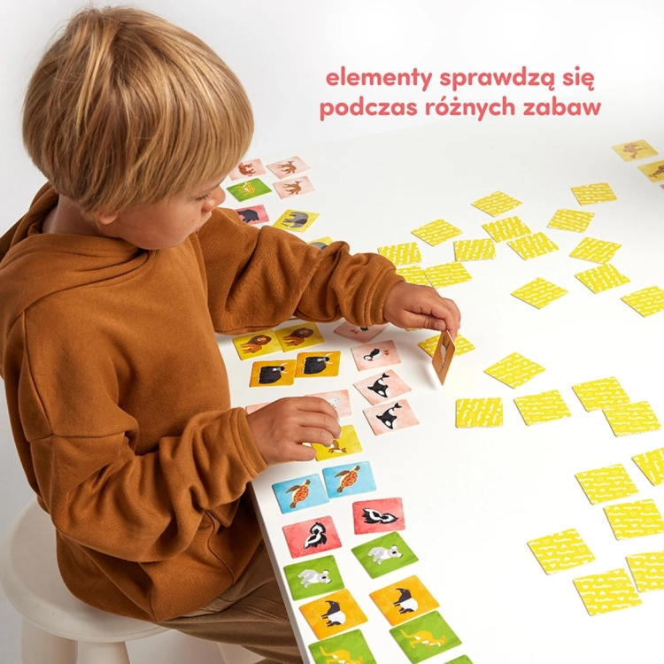 Chłopiec grający w "Memory Zwierzęta świata" przy stole