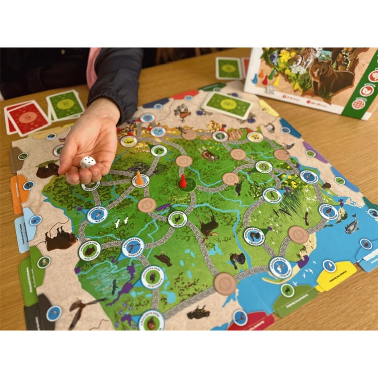 Plansza gry Polska Przyroda z zaznaczonymi parkami narodowymi i pionkami.