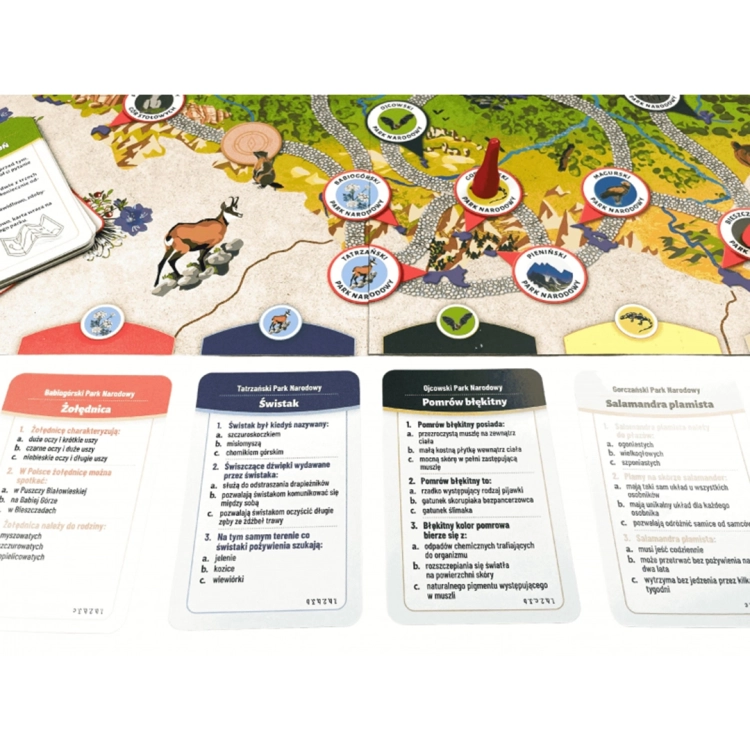 Ilustracja rozgrywki na planszy Polska Przyroda z elementami gry.