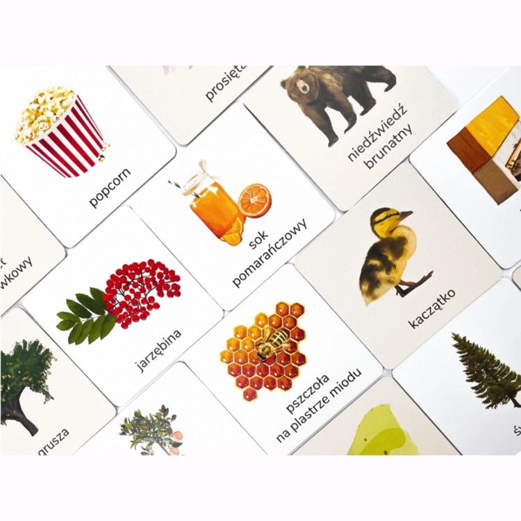Zbliżenie na karty sensoryczne z ilustracjami, w tym niedźwiedź brunatny, popcorn i pszczoła.
