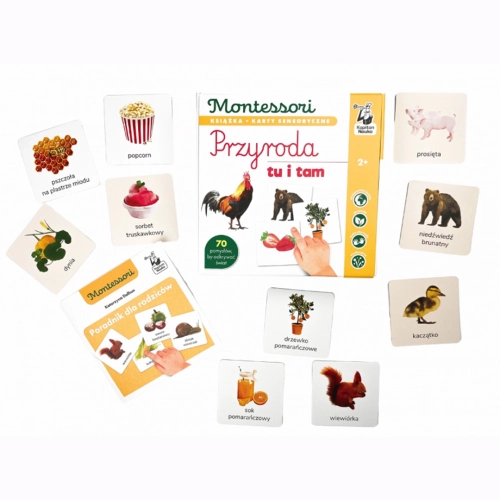 Zestaw Montessori Przyroda Tu i Tam z kartami sensorycznymi na białym tle.