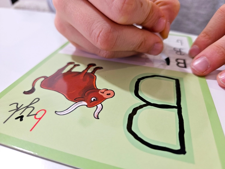 Pisanie litery "B" na tabliczce z ilustracją byka z zestawu edukacyjnego Sowa Mądra Głowa.