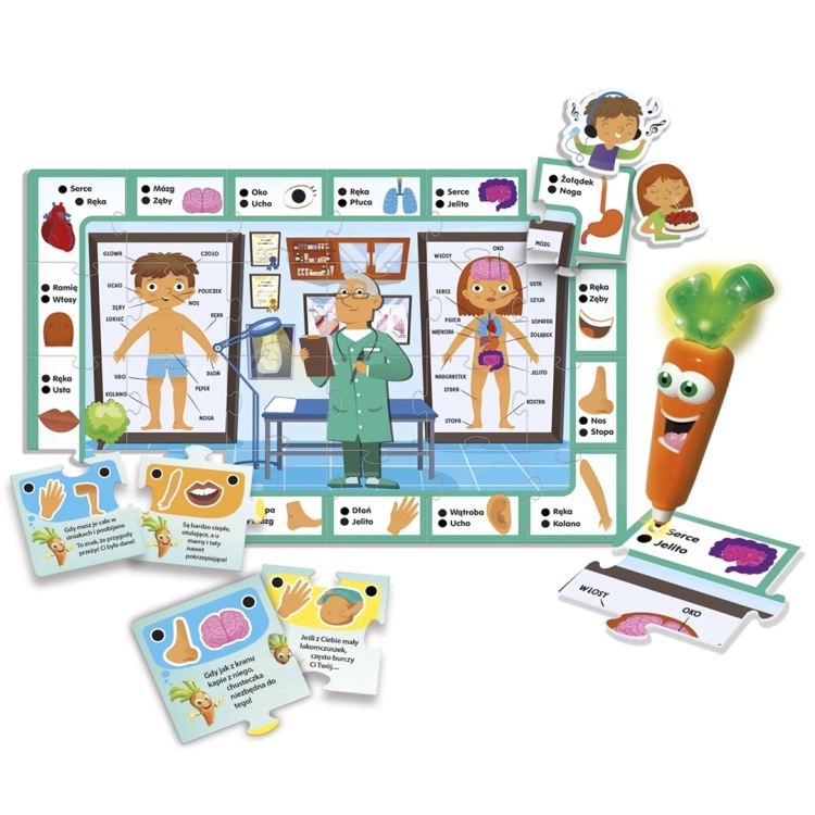 Zawartość zestawu Lisciani Carotina Idzie do Lekarza – plansza i karty edukacyjne