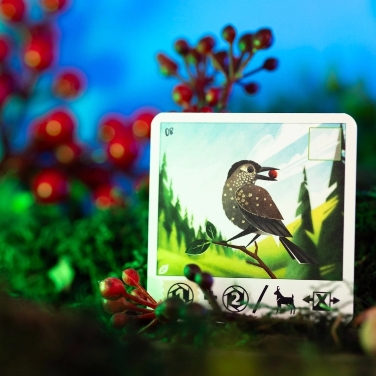 zbliżenie kart z ilustracjami zwierząt z gry Alpina