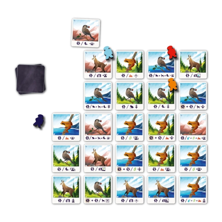 rozłożona plansza gry Alpina z pionkami graczy