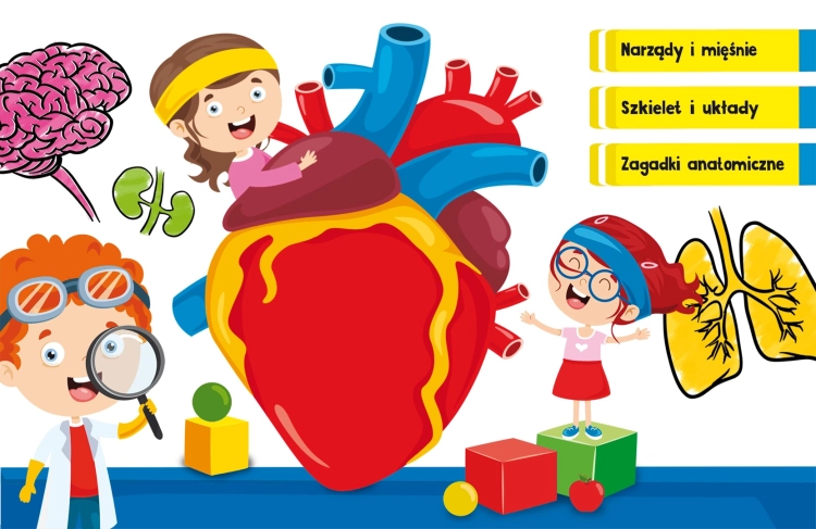 Ilustracja narządów i postaci z gry Quiz Ciało Człowieka Lisciani