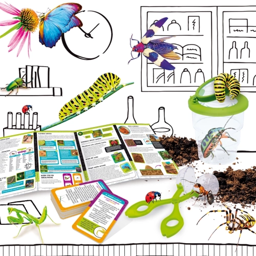 Zawartość zestawu Mały geniusz Nauka o insektach – karty, lupa i pojemnik