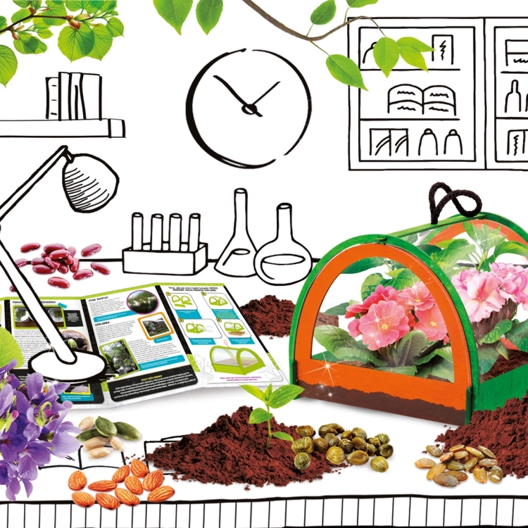 Zawartość zestawu naukowego nauka o botanice Lisciani: mini szklarnia, nasiona, instrukcja