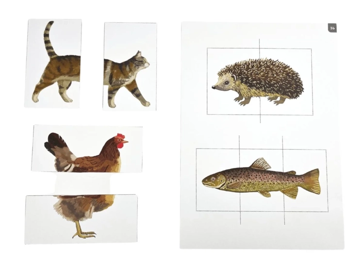 Puzzle edukacyjne ze zwierzętami do wycinania z zestawu Teczka Montessori 2+
