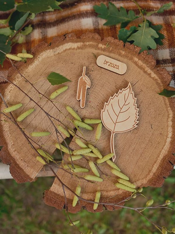 Puzzle liść brzozy i kotki brzozowe na tle naturalnym