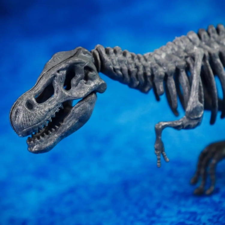 zbliżenie na czaszkę szkieletu tyranozaura z zestawu