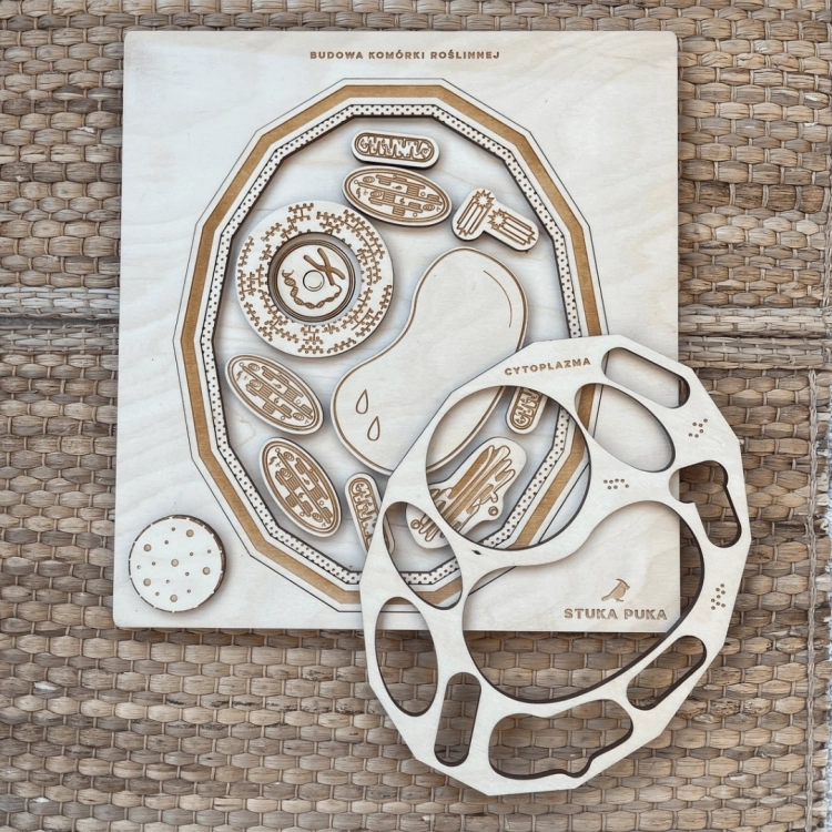 Komórka roślinna z wyjmowaną ramką – puzzle drewniane Sounds Wood