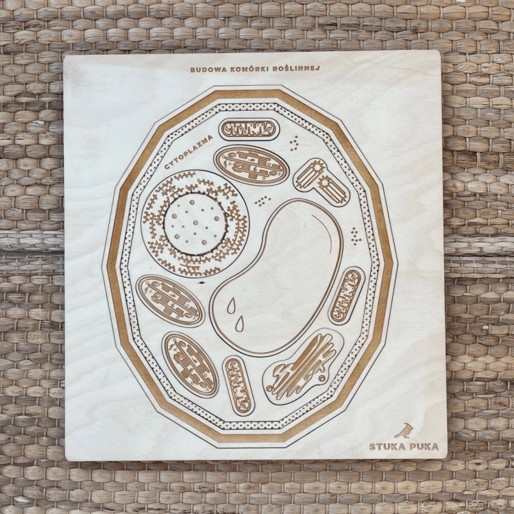 Pusta plansza drewniana z wygrawerowanymi elementami komórki roślinnej