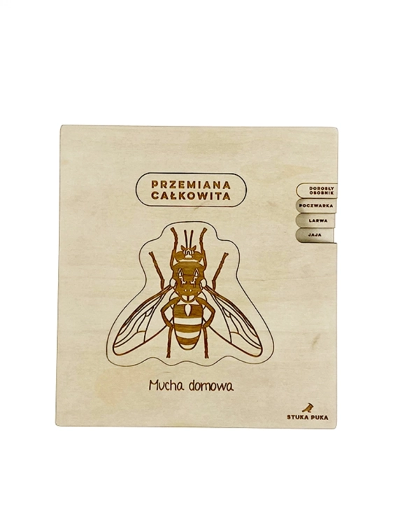 elementy puzzli przedstawiające stadia rozwoju muchy – Sounds Wood