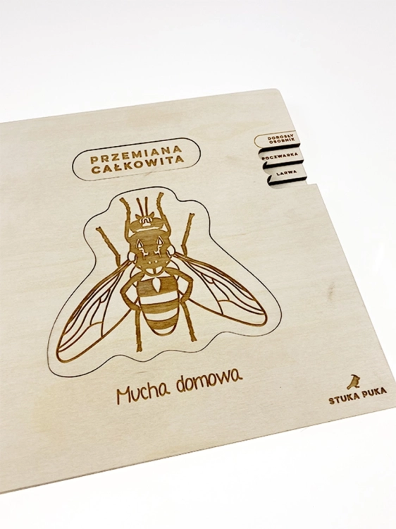 drewniana tablica edukacyjna mucha domowa zamknięta – Sounds Wood