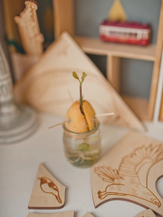 elementy puzzli ranne ptaszki Sounds Wood obok kiełkującego awokado