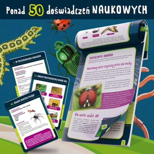 Karty z doświadczeniami naukowymi i ilustracje z zestawu Owady Lisciani