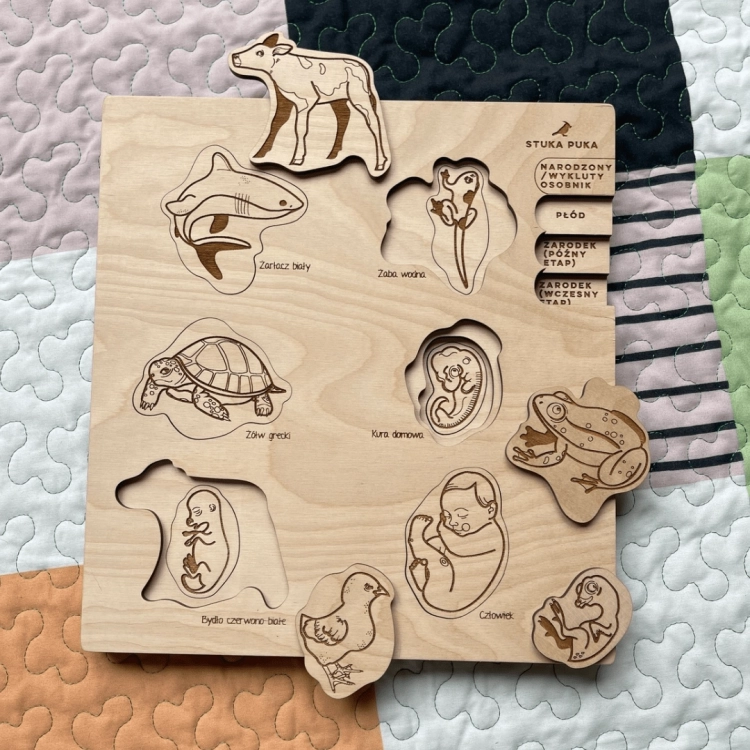Drewniane puzzle edukacyjne przedstawiające cykle rozwojowe różnych zwierząt i człowieka.