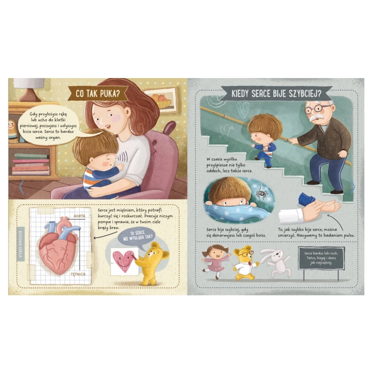 Ilustracje i tekst z książki "Feluś i Gucio odkrywają ciało człowieka" Naszej Księgarni, wyjaśniające bicie serca.