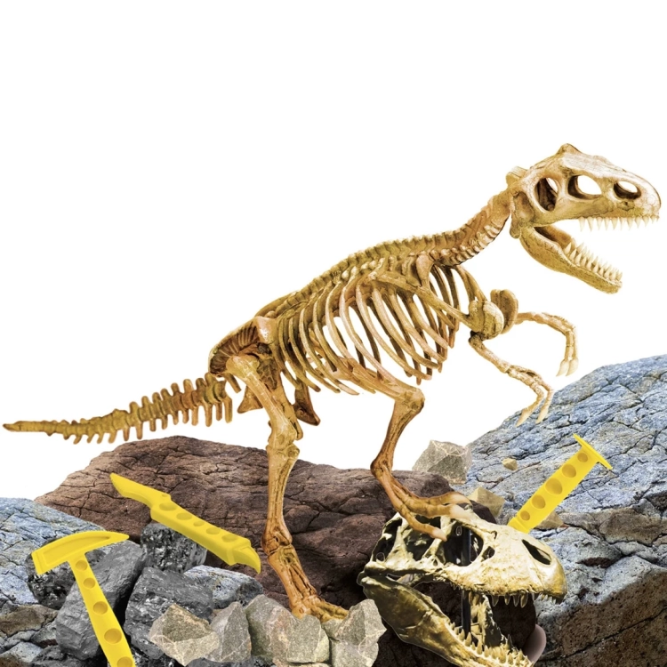 Szkielet Tyrannosaurusa Rexa wykopany z zestawu Lisciani Super Kit T-Rex, narzędzia do pracy.