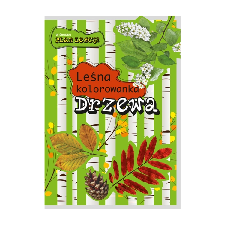 Kolorowanka edukacyjna Drzewa leśne dla dzieci 3+ z planem lekcji, Multico