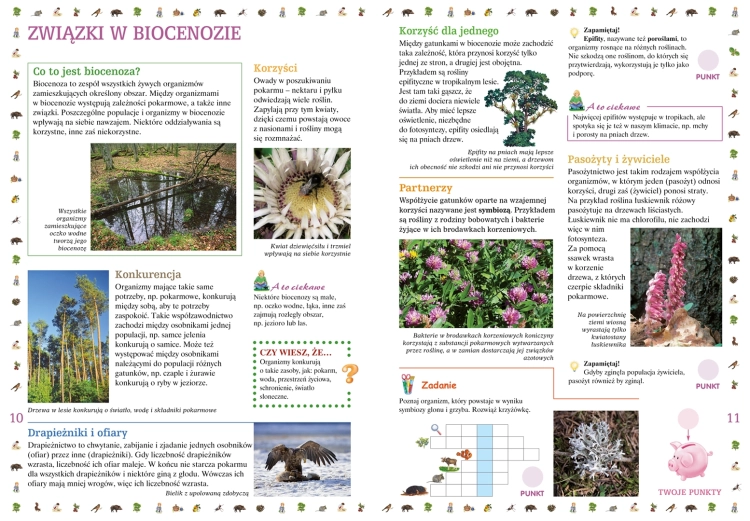 Książka edukacyjna Ekologia dla dzieci 7+ Multico - rozkładówka o związkach w biocenozie i korzyściach.