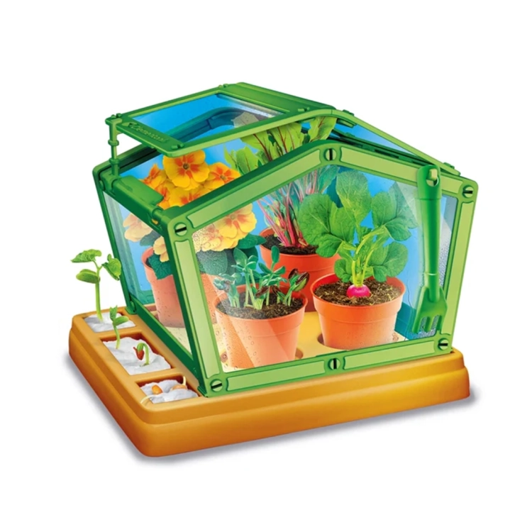 Złożona szklarnia edukacyjna Clementoni z rosnącymi w środku kwiatami i rzodkiewkami.