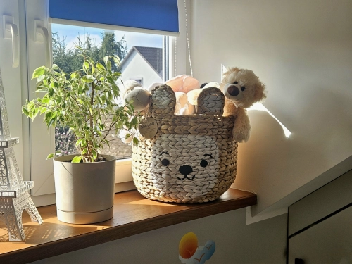 Pleciony kosz z hiacyntu wodnego z uszami i wyhaftowaną buzią zwierzątka, wypełniony maskotkami, wyeksponowany na nasłonecznionym parapecie obok rośliny doniczkowej.