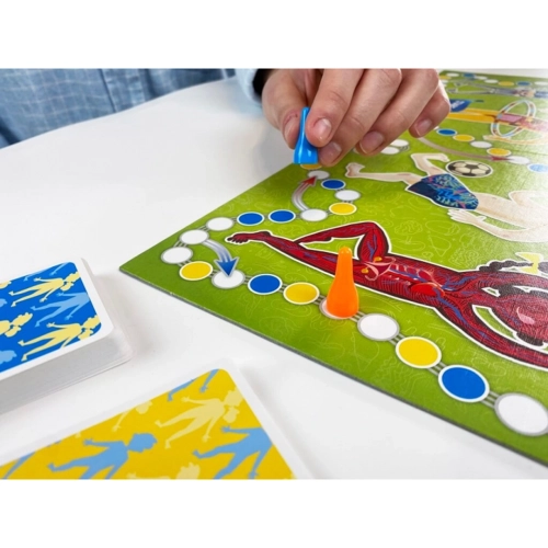 Niebieski pionek na planszy edukacyjnej o ciele człowieka. Zbliżenie na kolorową ścieżkę gry z polami i ilustrację układu krwionośnego.