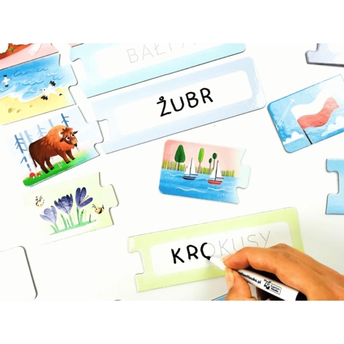 Zbliżenie na dłoń dziecka piszącą mazakiem po puzzlach. Widoczne słowa „ŻUBR” i „KROKUSY” oraz kolorowe ilustracje przyrodnicze.